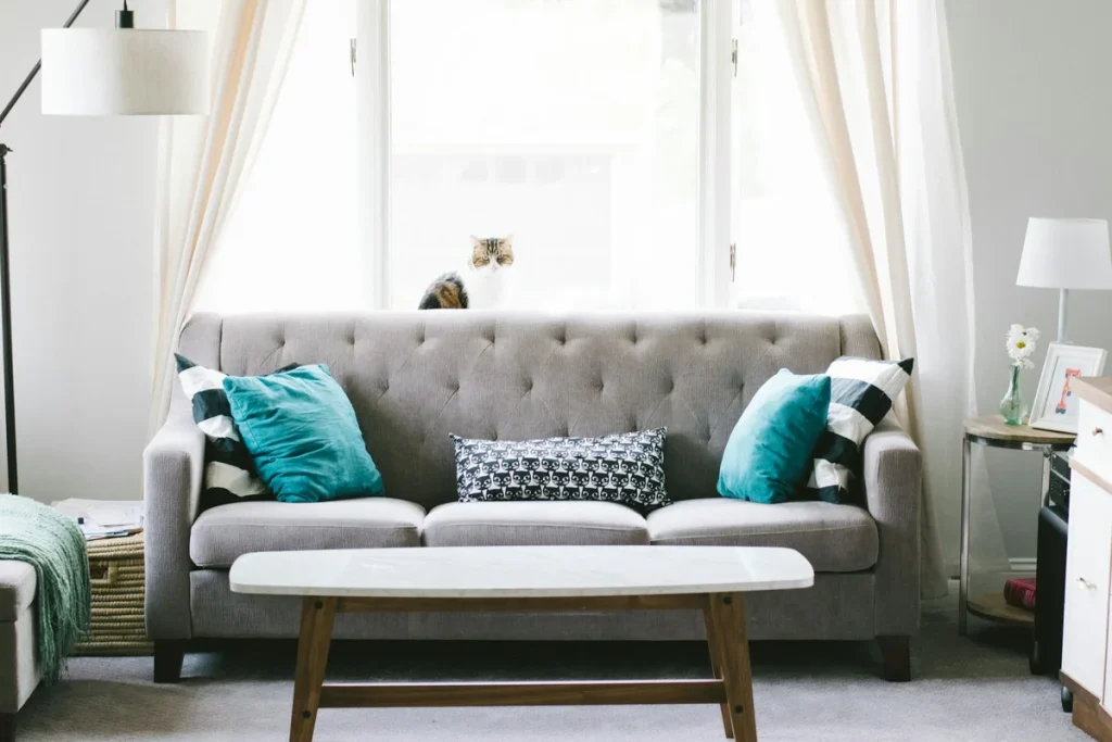 Giặt sofa vải