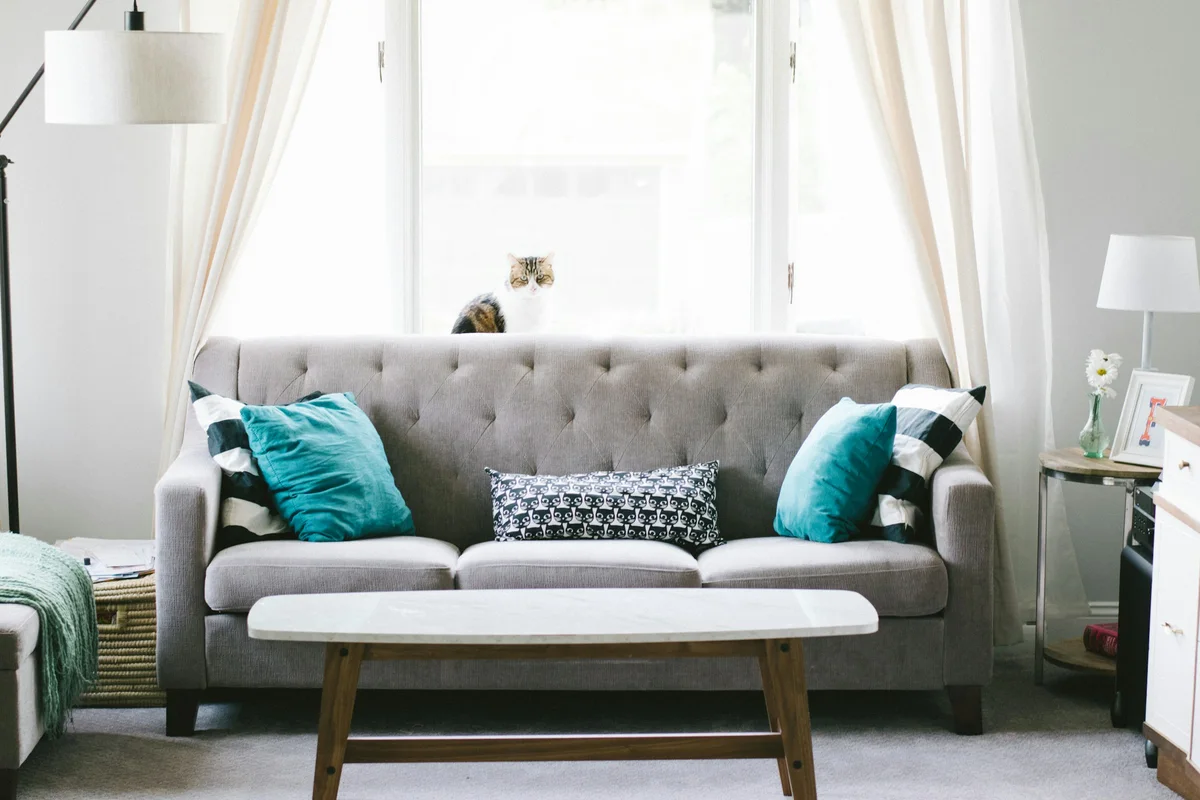 Giặt sofa vải